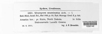 Uromyces acuminatus image